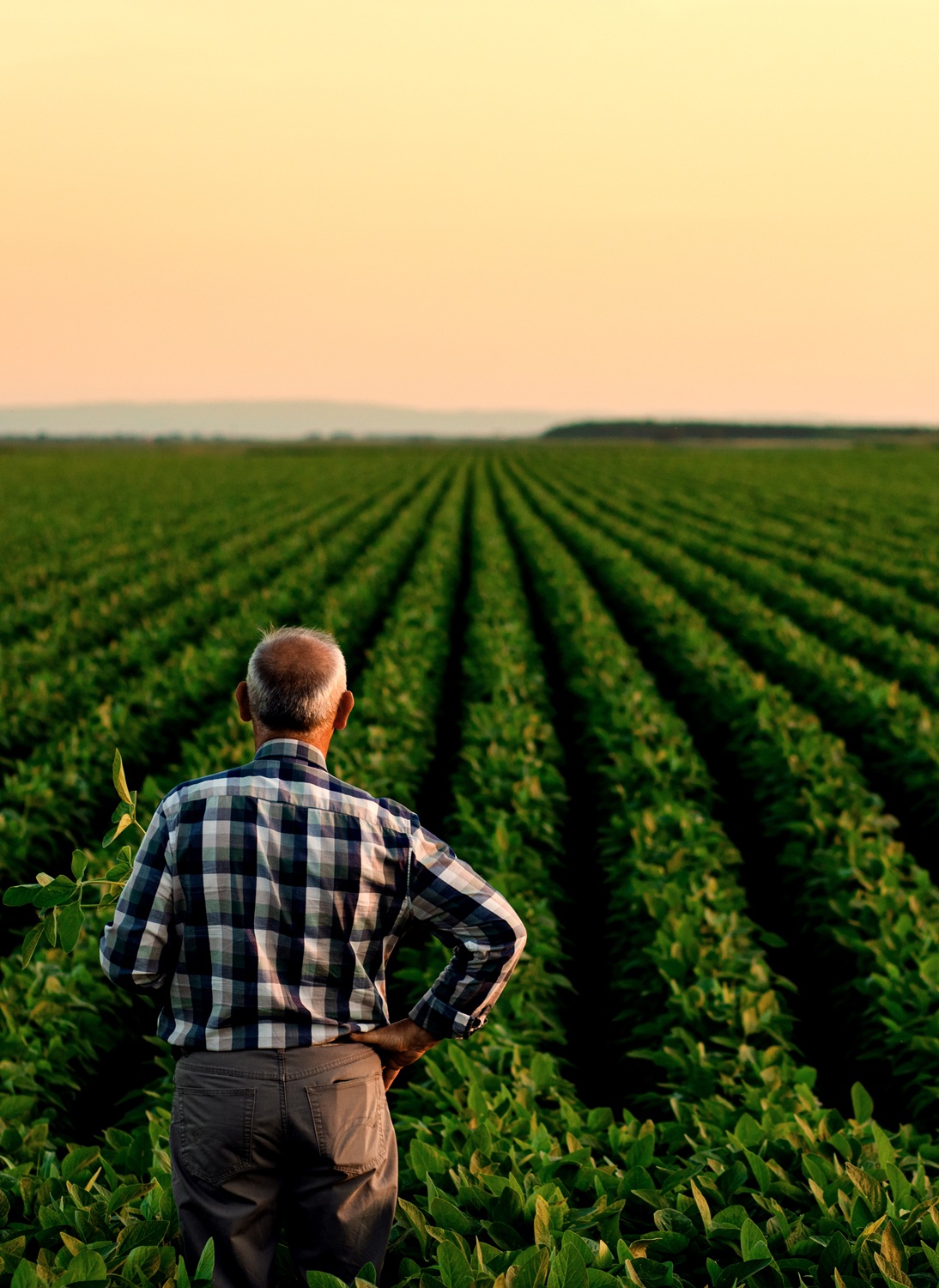 Agricultural farmer