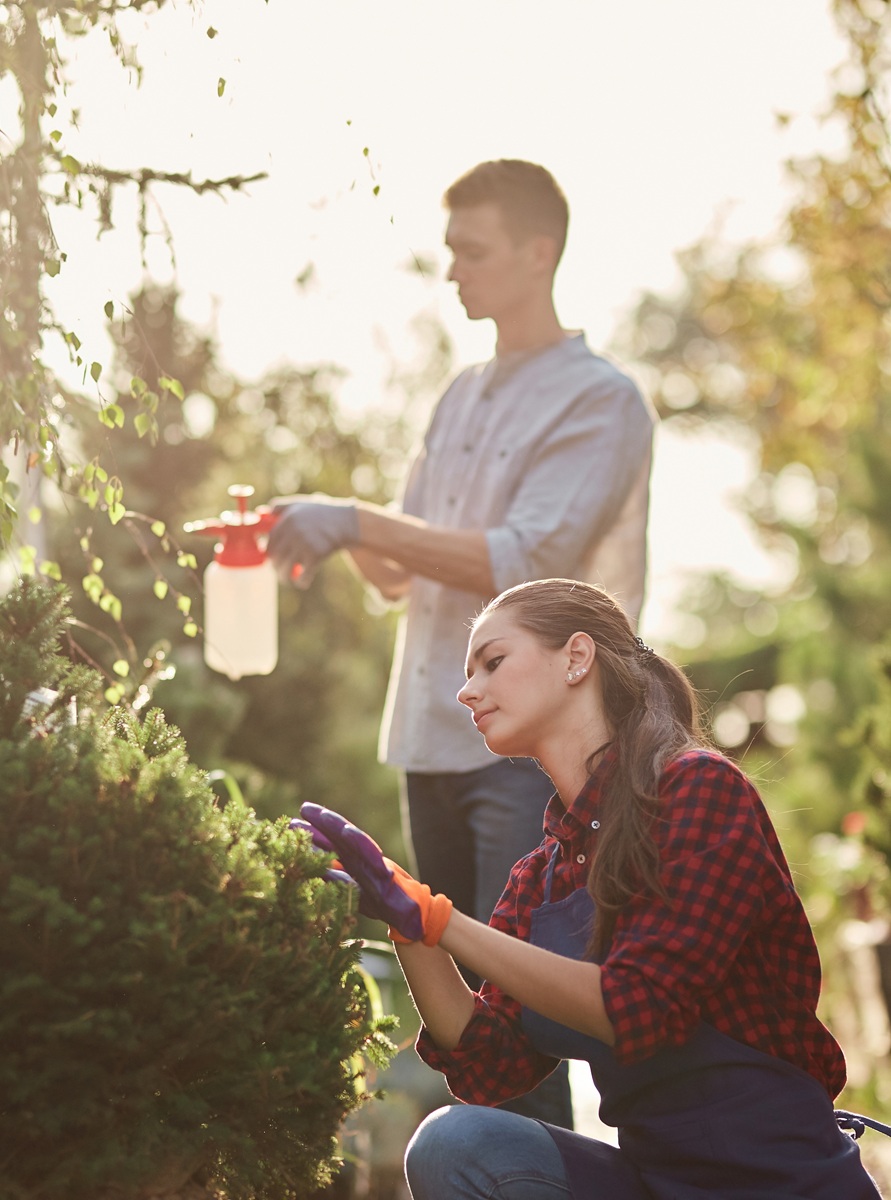 Home Gardening Chemicals