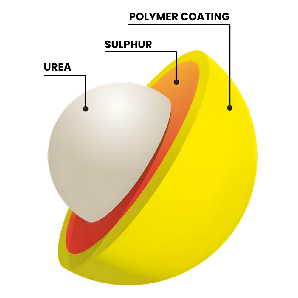 Polymer Coated Sulphur Urea Granular Fertiliser