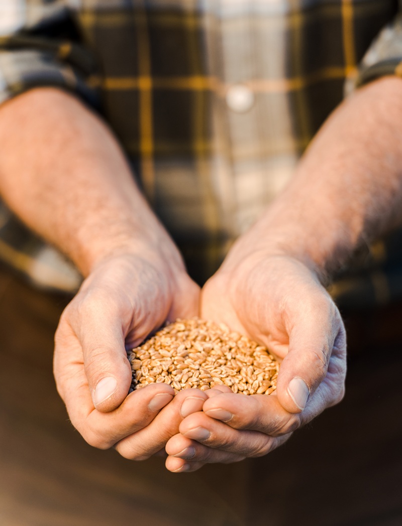 Seed Care Agriculture